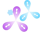 Custom Antibody Services 4 quality controls icon