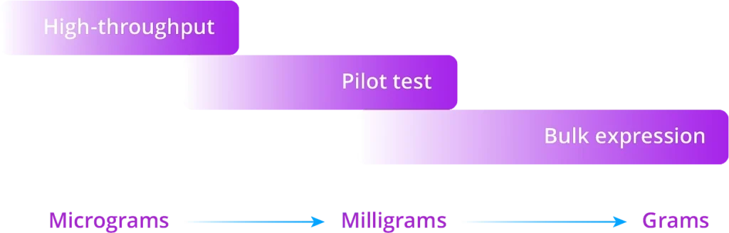 Custom Antibody Services 9 antibody expression graph