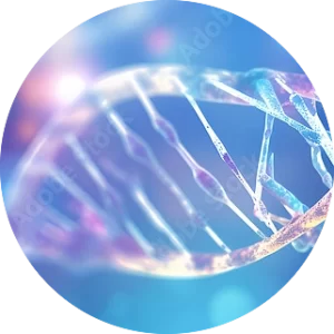 Custom Antibody Services 6 antibody sequencing icon 01 300x300 1